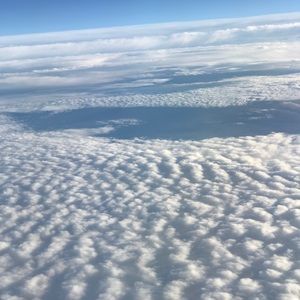 Meet your Posher, Shelly